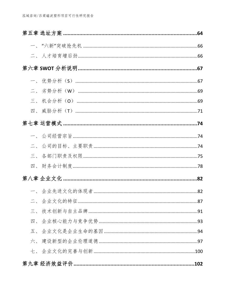 吕梁磁波塑形项目可行性研究报告_第4页