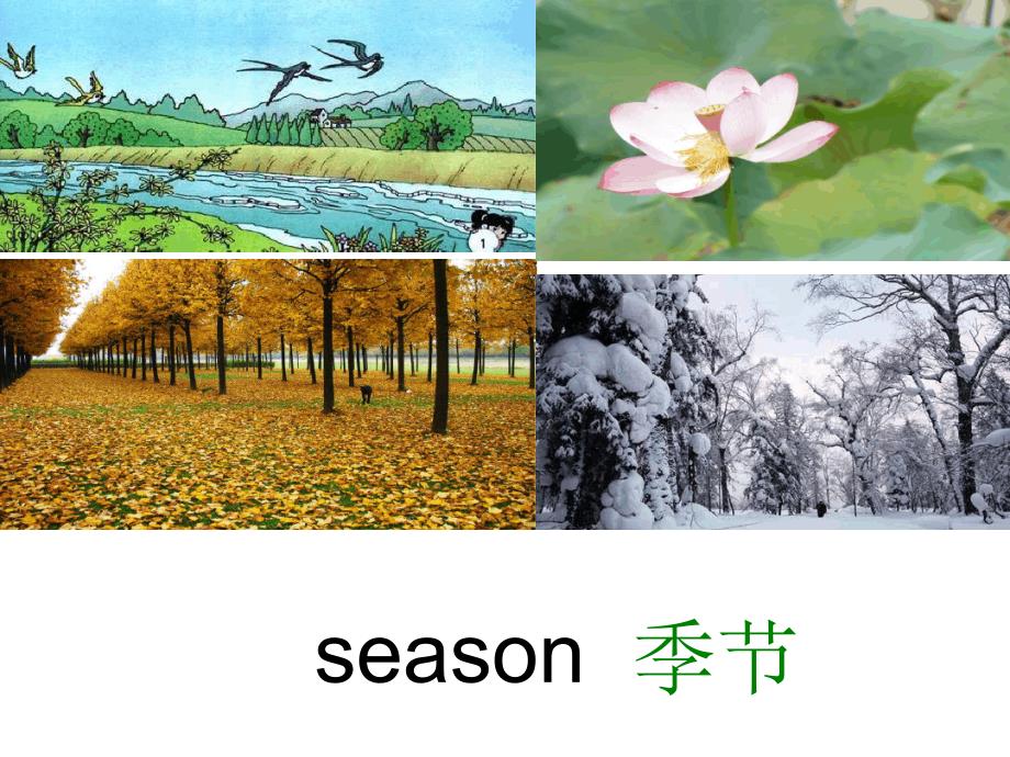 五年级下册英语课件Unit3Seasonsofayear重大版共14张_第4页