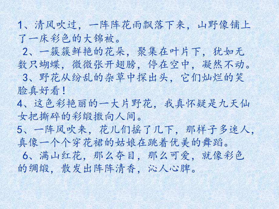 一路花香课件_第1页