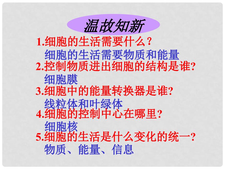 河北省平泉四海中学七年级生物上册 2.2.1 细胞通过分裂产生新细胞课件 （新版）新人教版_第2页