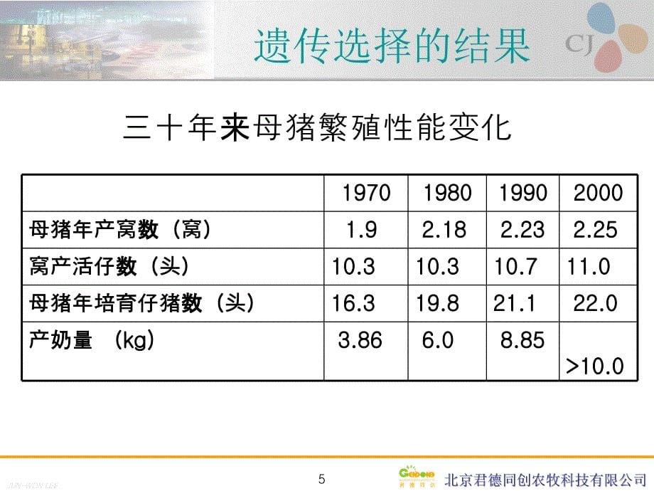 泌乳母猪料的配制教案_第5页