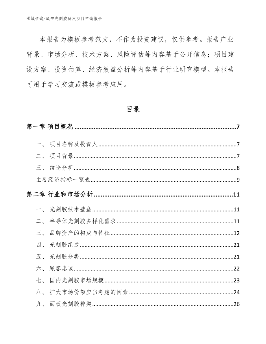 咸宁光刻胶研发项目申请报告_第2页