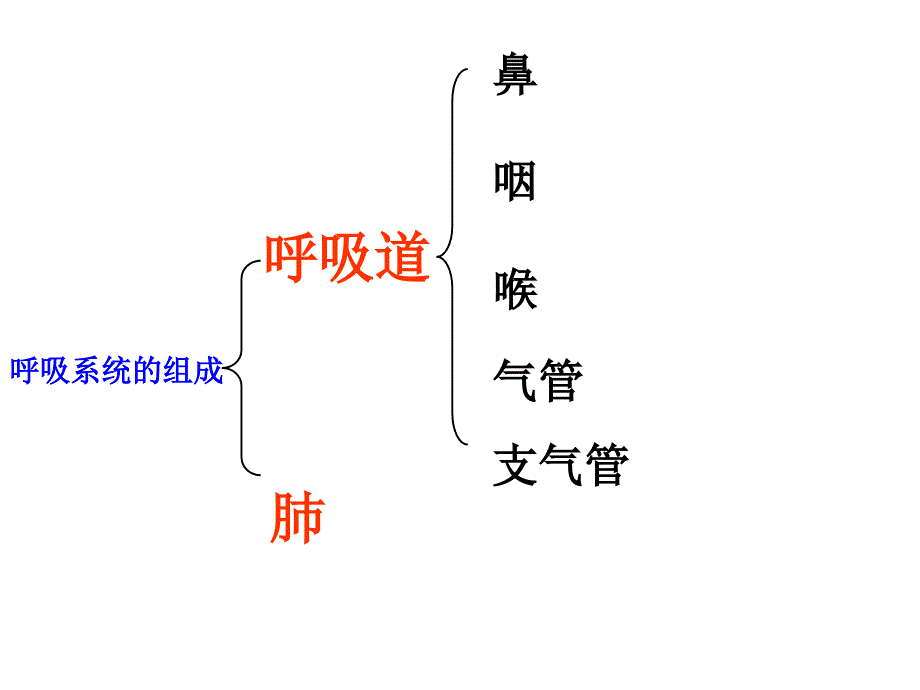 第一节呼吸道空气的处理_第3页