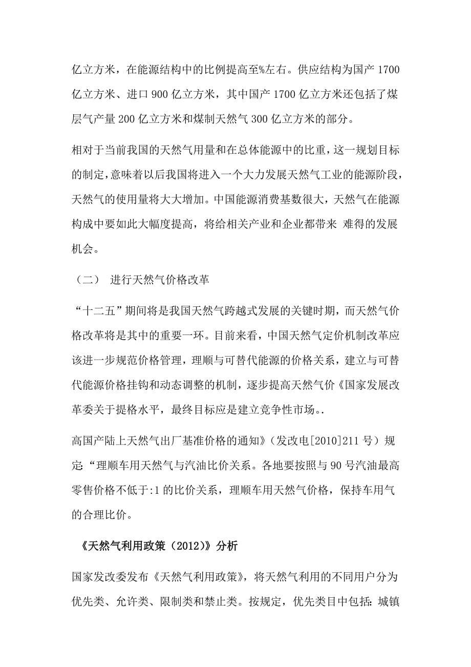 CNG加气站经营前景及趋势分析_第5页