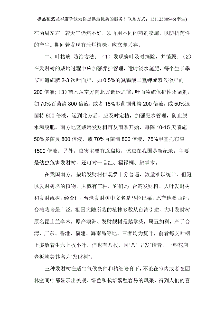 发财树养殖方法.doc_第4页