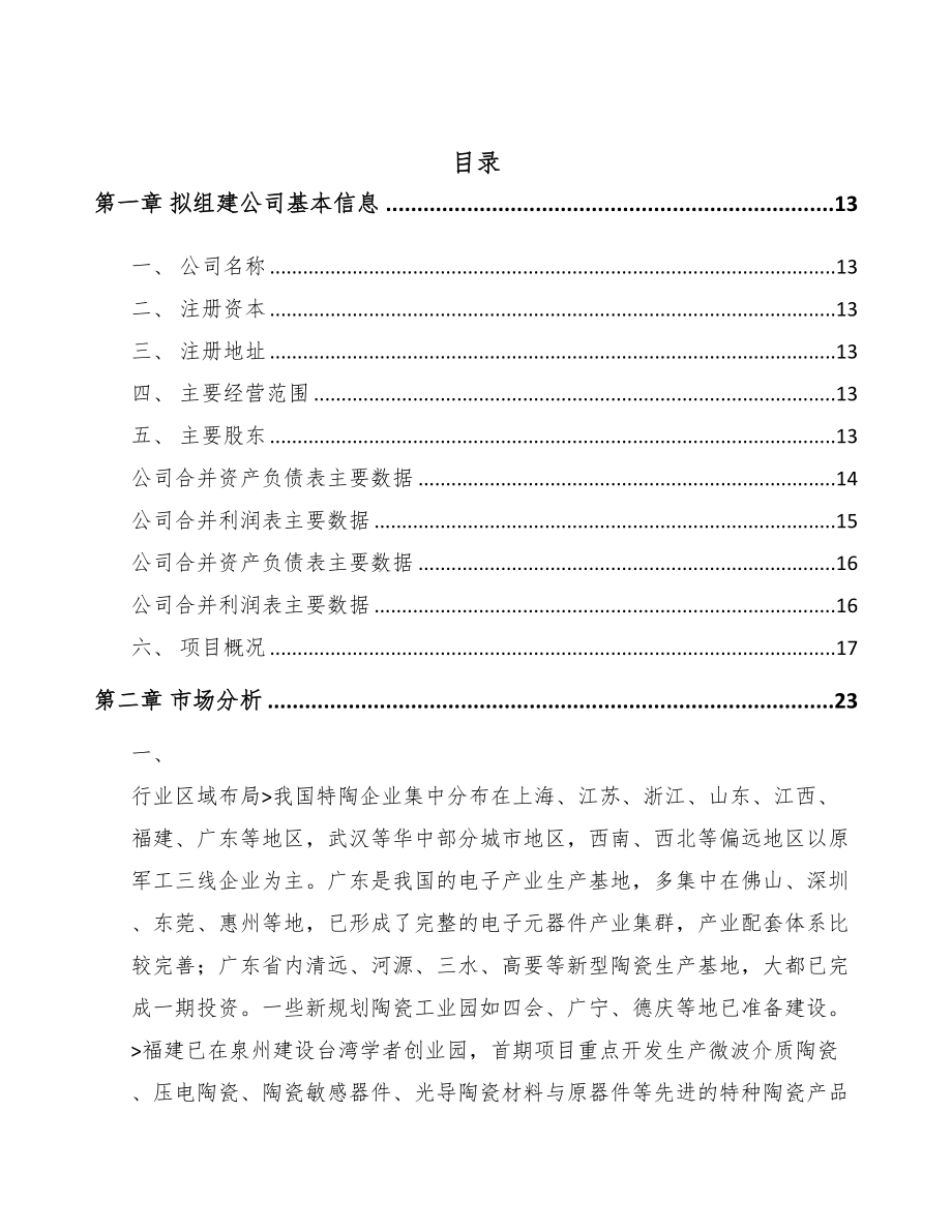 宁德关于成立特种陶瓷制品公司可行性报告(DOC 88页)_第2页