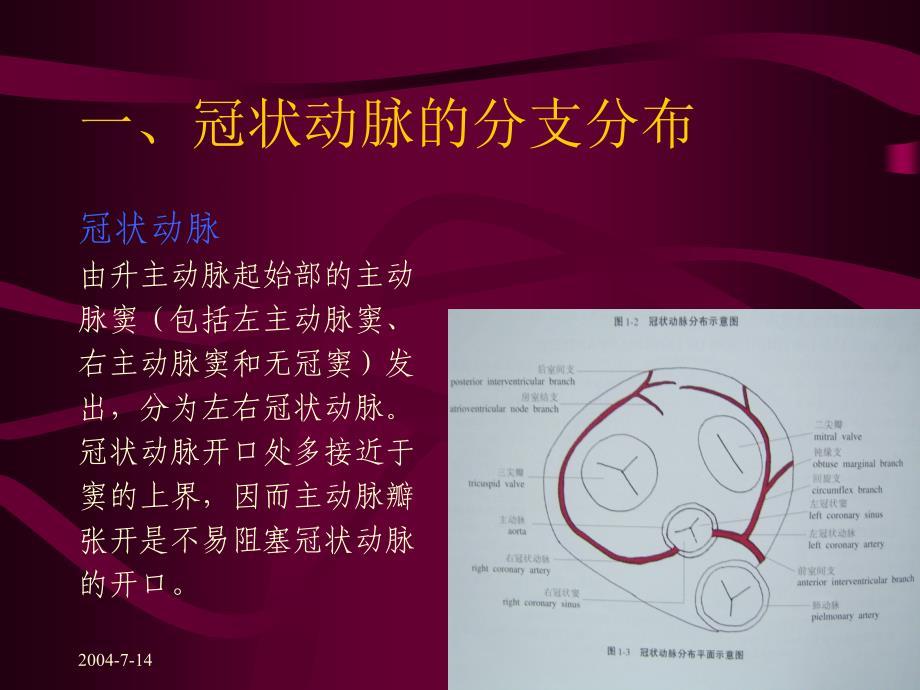 冠状动脉的解剖及CT表现_第2页