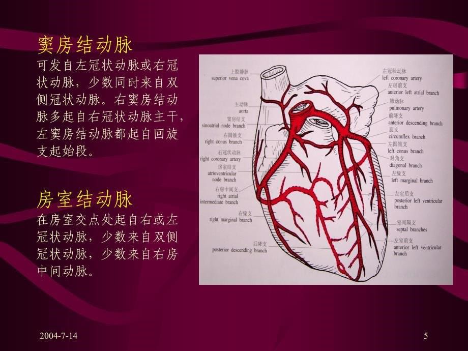 冠状动脉的解剖及CT表现_第5页