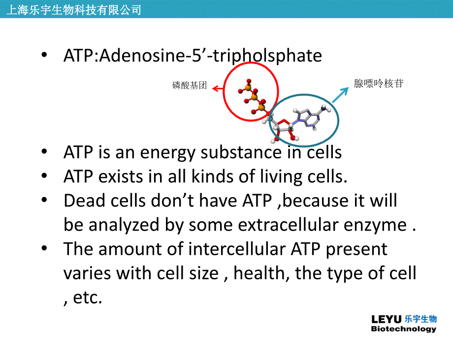 ATP荧光检测仪指导_第3页