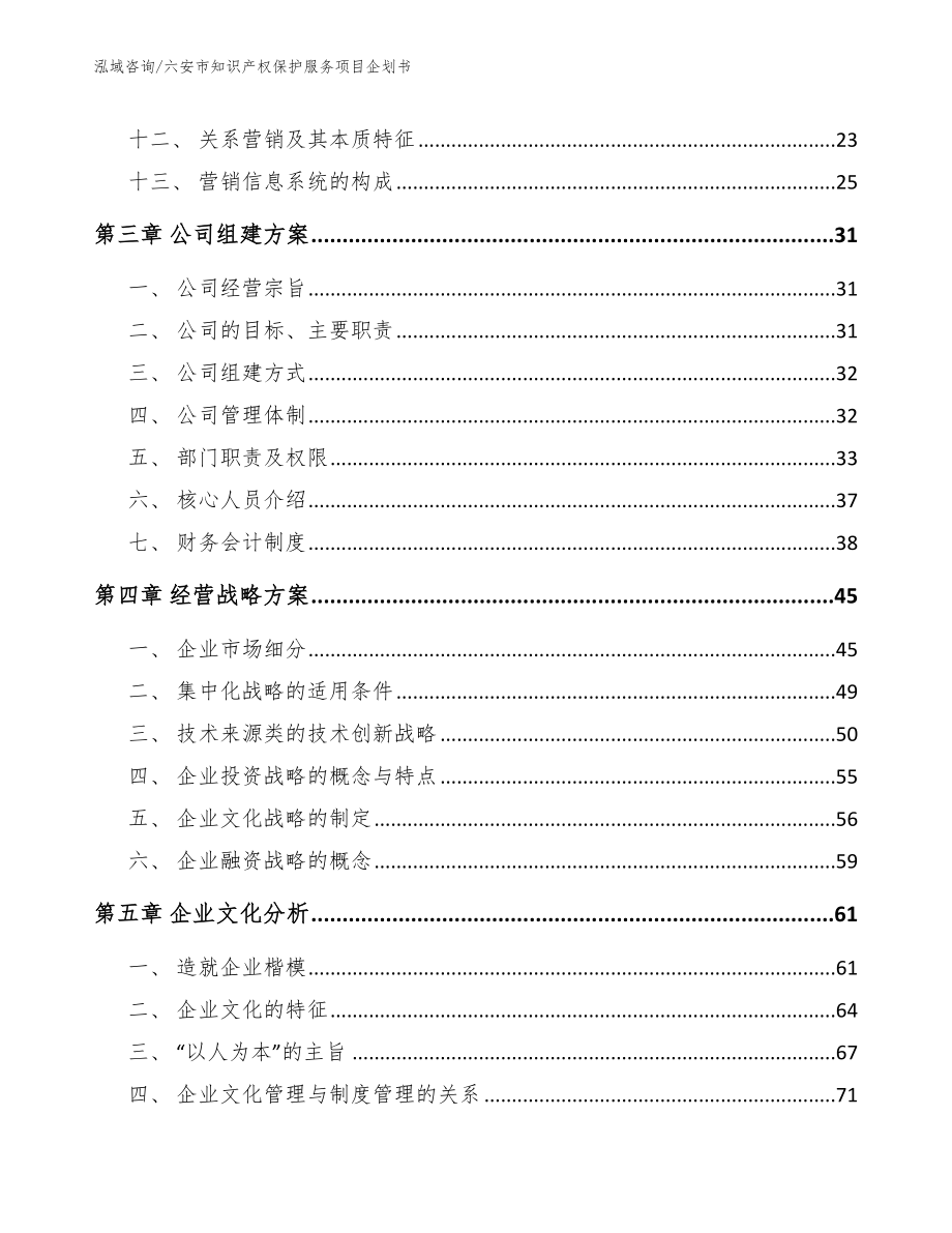 六安市知识产权保护服务项目企划书_模板范文_第2页