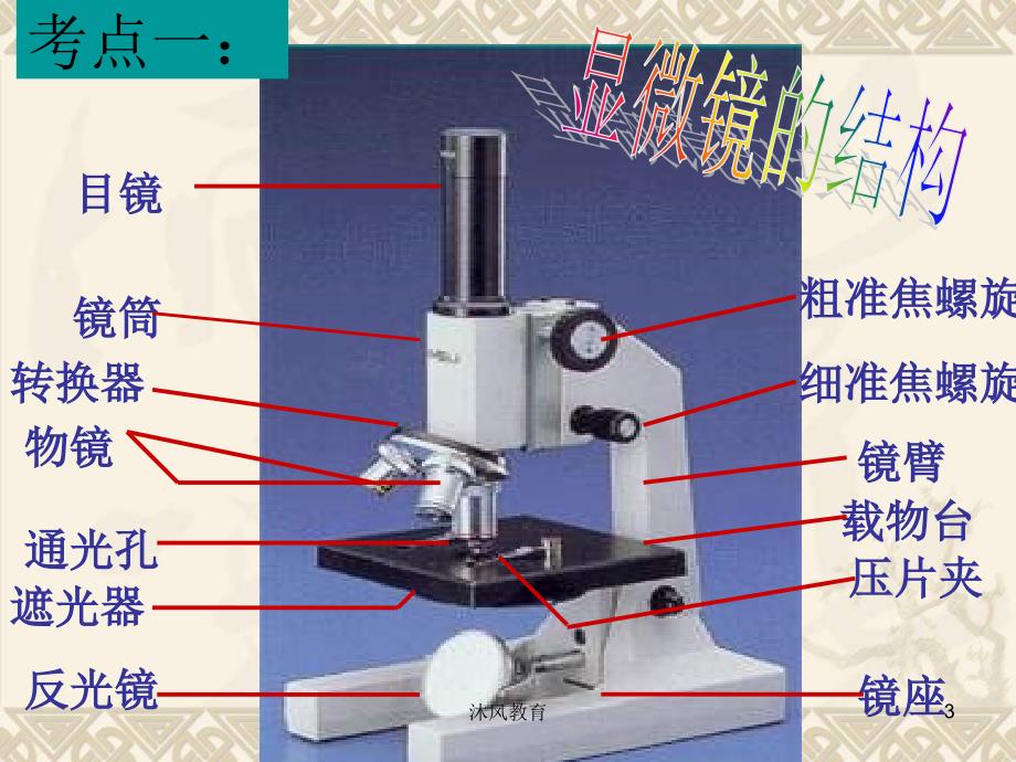 七年级生物细胞是生命活动的基本单位复习课件谷风课堂_第3页