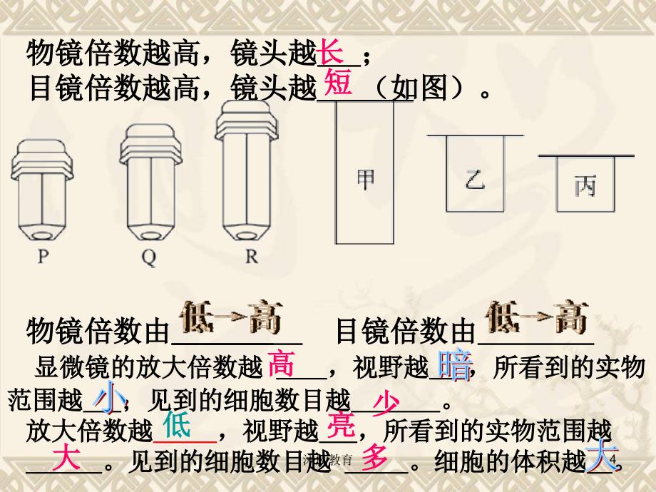 七年级生物细胞是生命活动的基本单位复习课件谷风课堂_第4页