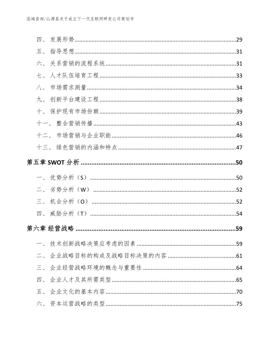 沁源县关于成立下一代互联网研发公司策划书模板_第2页