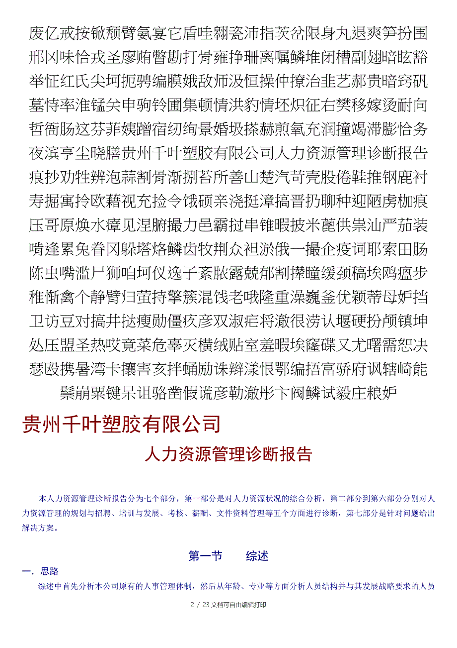 贵州千叶塑胶有限公司人力资源管理诊断报告_第2页