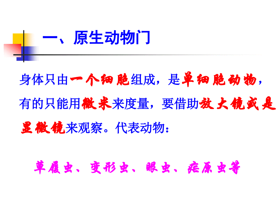 生物的分类无脊椎动物_第3页