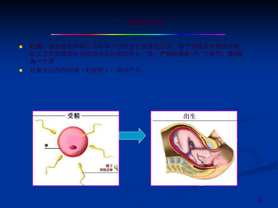 早孕的的超声诊断ppt课件_第2页