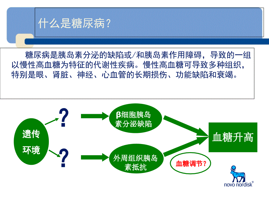 胰岛素分类PPT课件_第4页