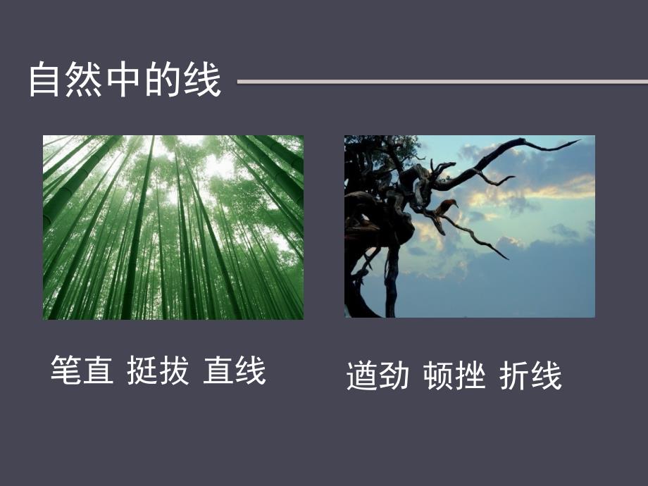 线条的表现力上课材料_第3页