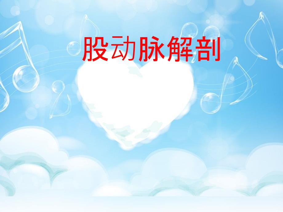 股动脉解剖PPT012_第1页