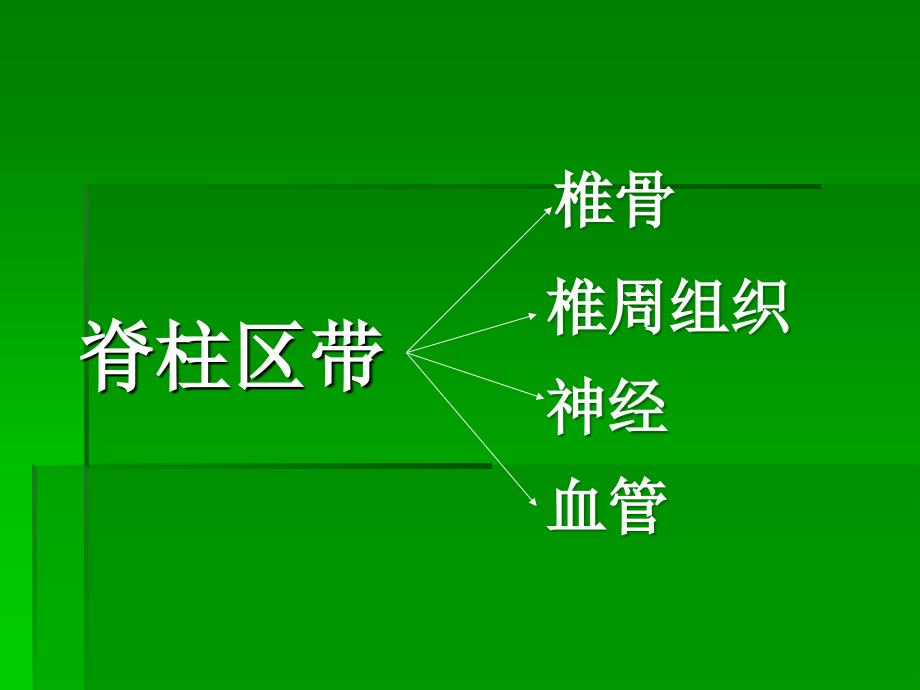 脊柱区带相关疾病的临床探索_第2页