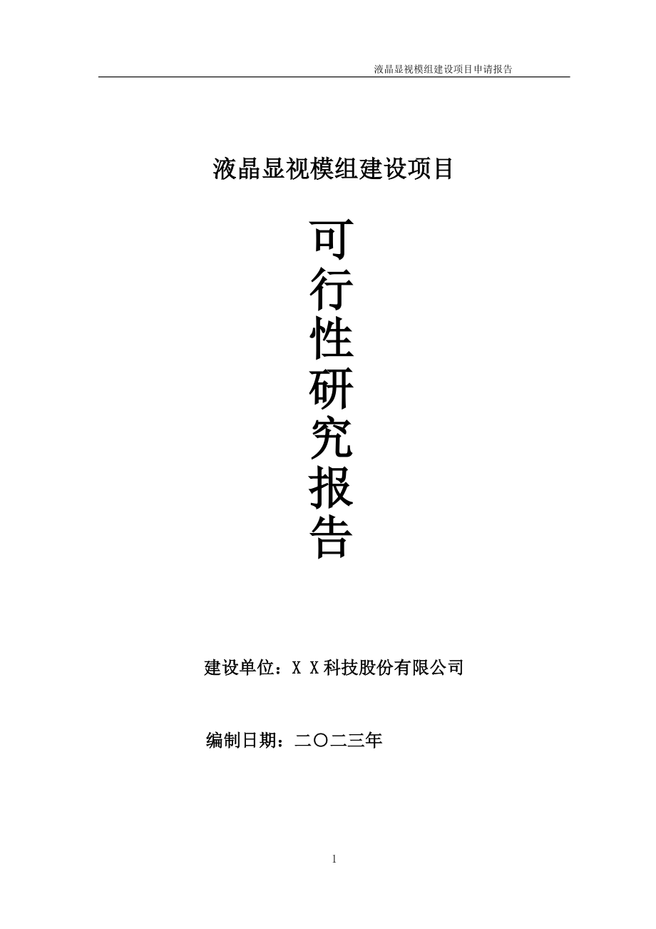 液晶显视模组项目可行性研究报告备案申请模板_第1页