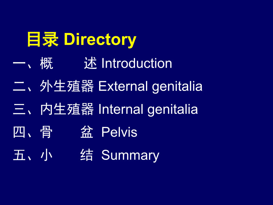 女性生殖系统解剖AnatomyofFemaleGenitalSystem_第2页