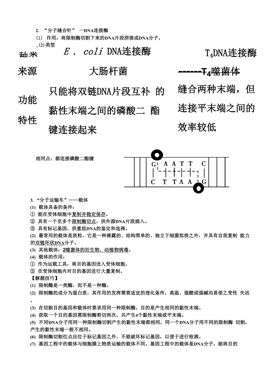 基因工程知识点超全_第3页