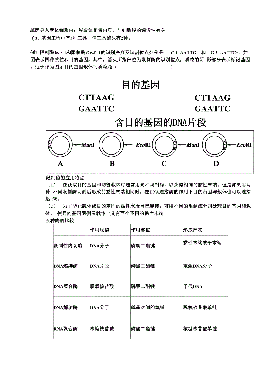 基因工程知识点超全_第4页