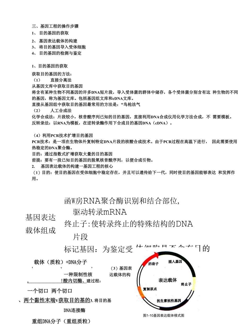 基因工程知识点超全_第5页