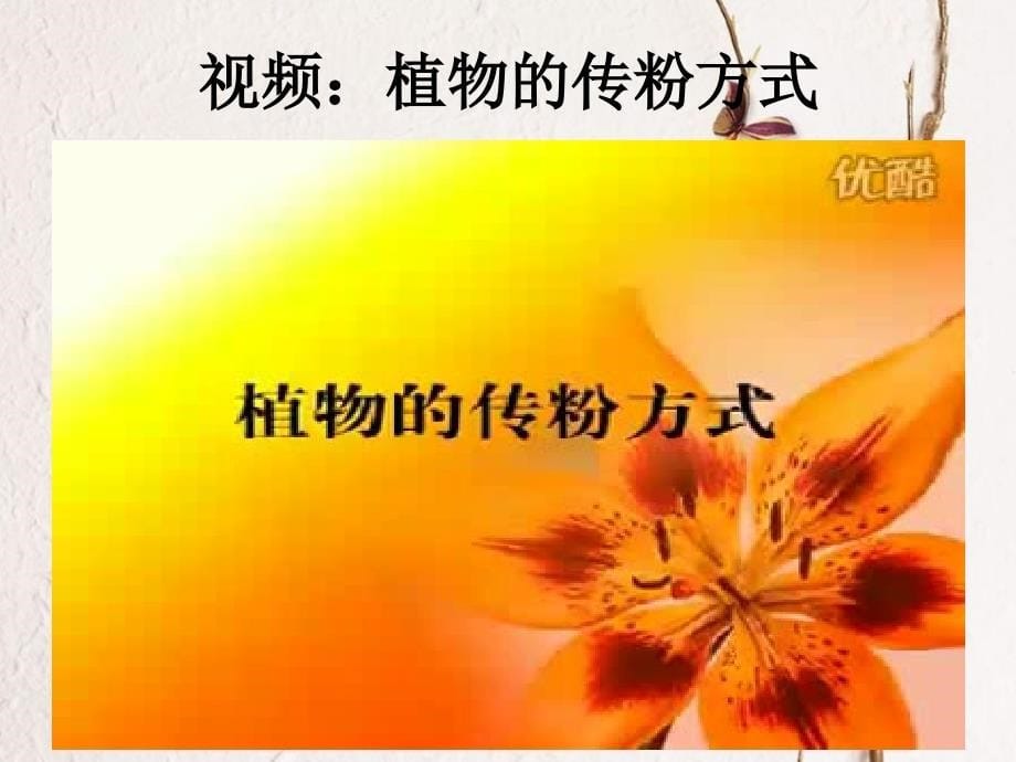 第五章开花和结果_第5页