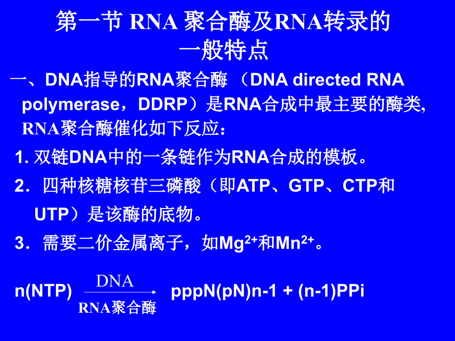 生物化学第十二章RNA的生物合成_第3页