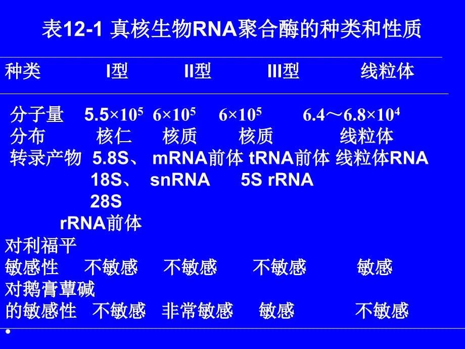 生物化学第十二章RNA的生物合成_第5页