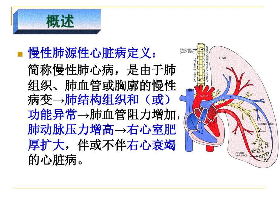 《慢性肺源性心脏病》PPT课件.ppt_第3页