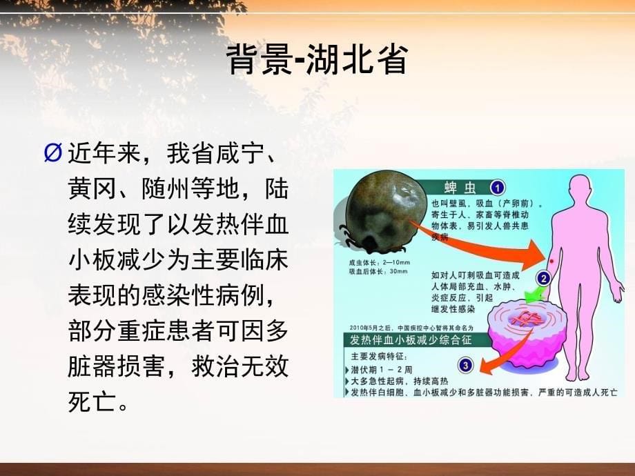 发热伴血小板综合征流行病学调查_第5页