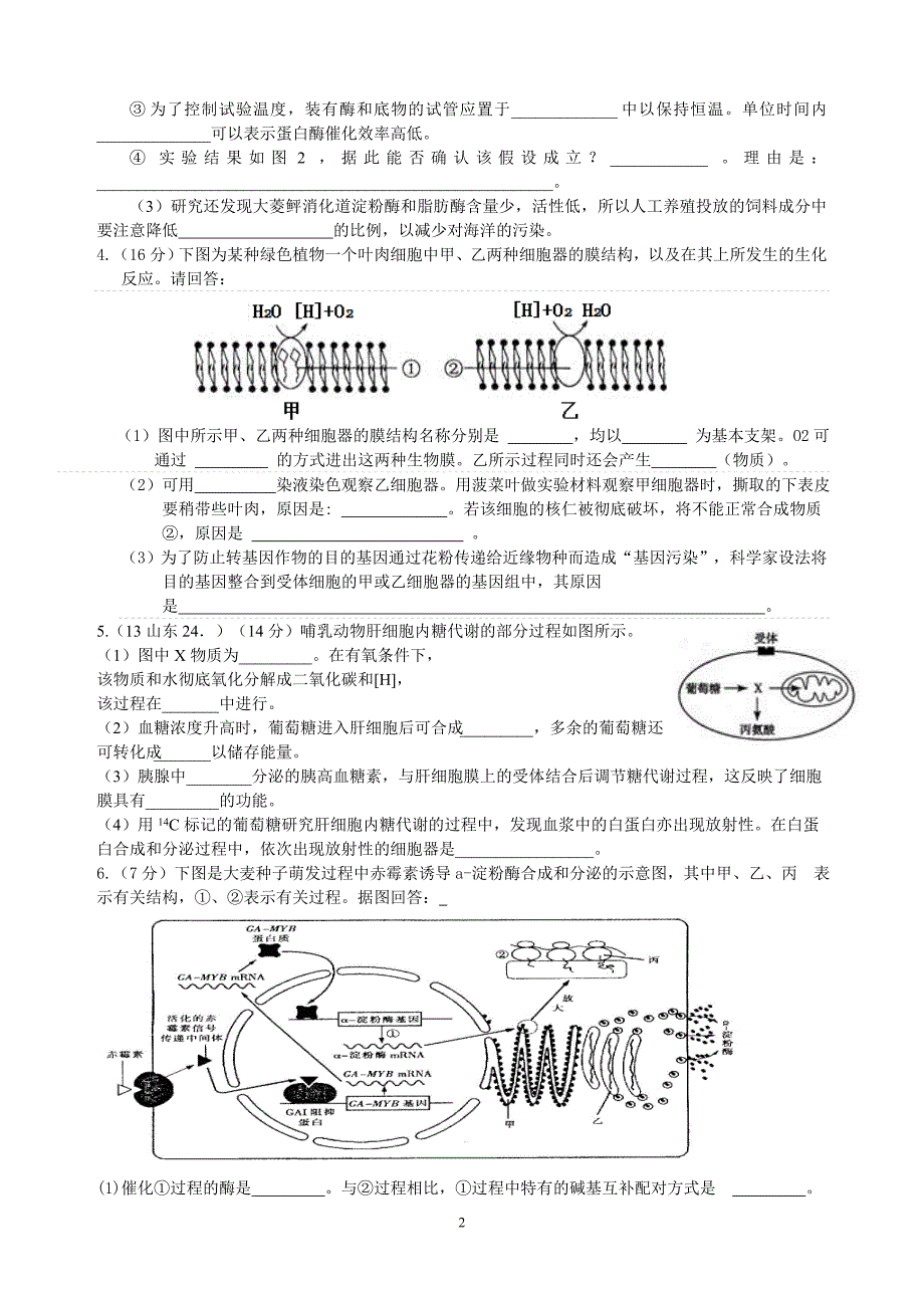 专题一：细胞的成分与结构_第2页