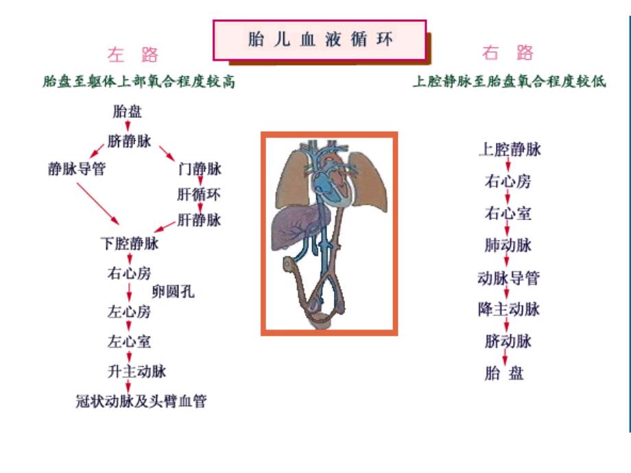 小儿常见先天性心脏病(一).ppt_第4页