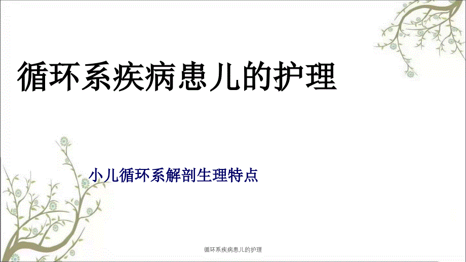 循环系疾病患儿的护理_第1页