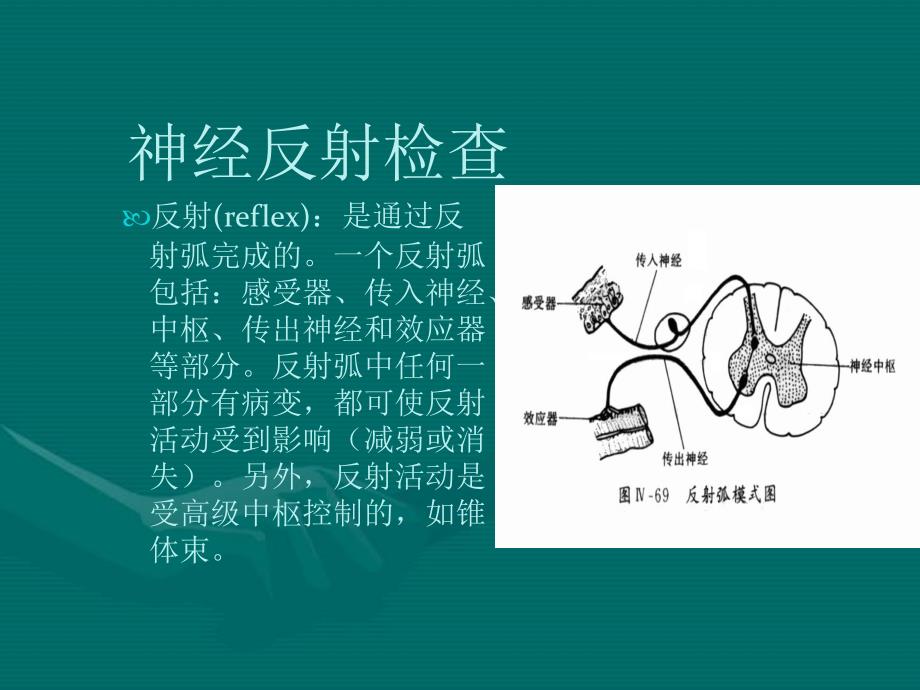 病理反射和脑膜刺激征_第1页