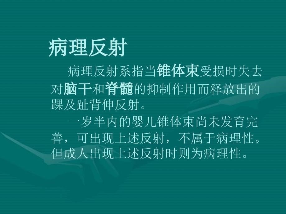 病理反射和脑膜刺激征_第5页