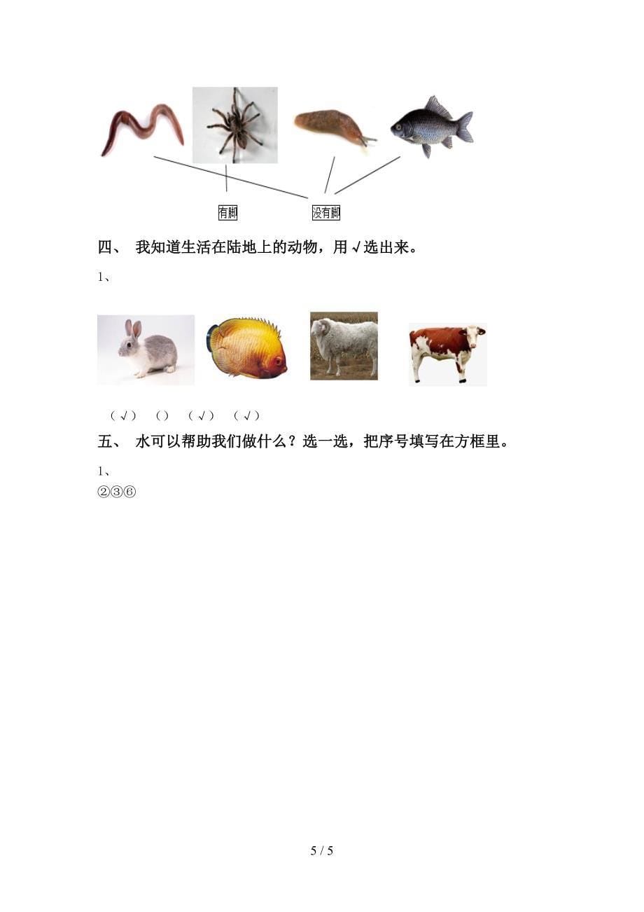 最新教科版一年级科学上册期中考试及答案【完整版】.doc_第5页