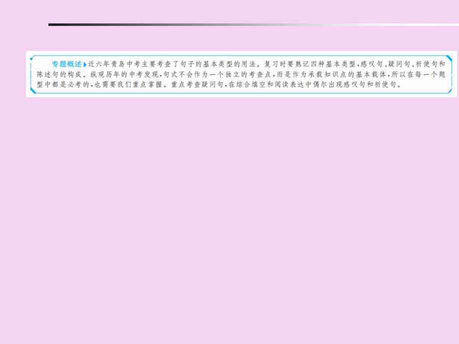 专项11句子的种类ppt课件_第2页