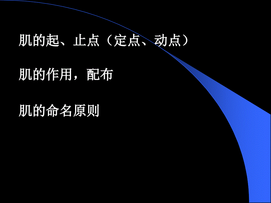 4肌总论、躯干肌、头颈肌_第3页