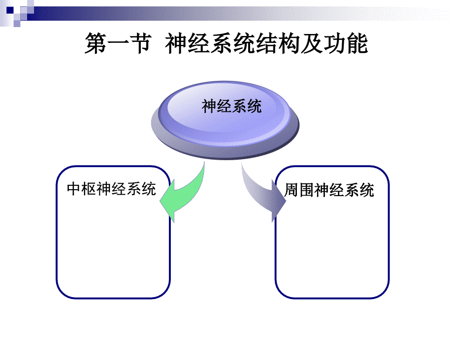 第2章心理的生理基础2_第2页