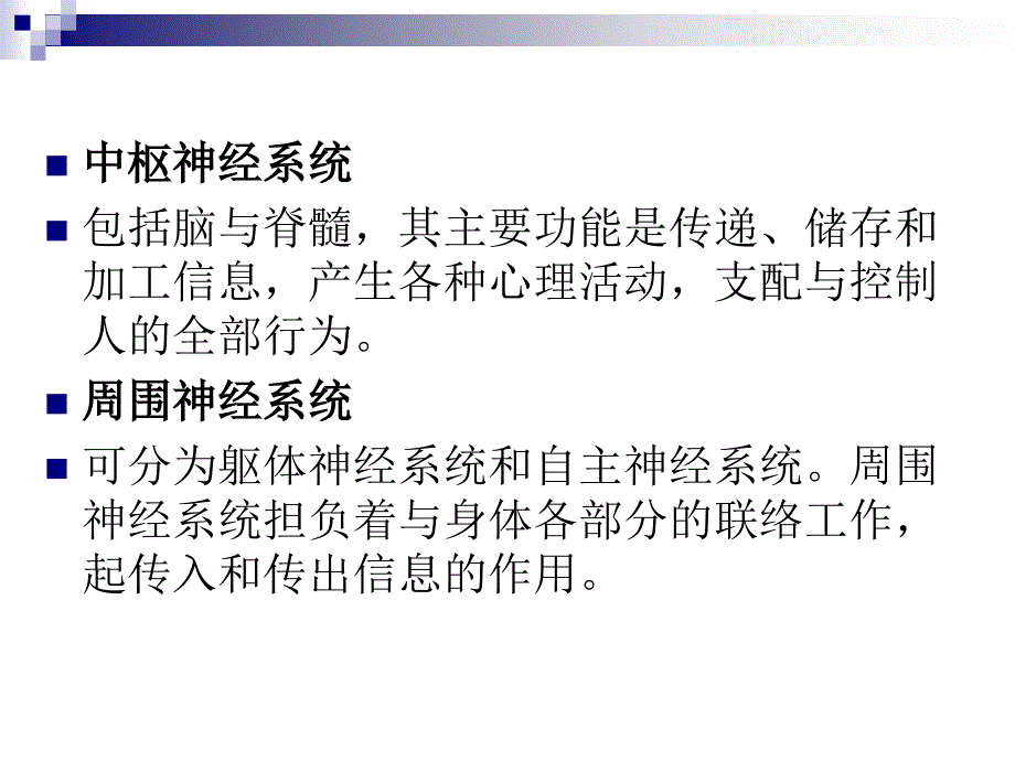 第2章心理的生理基础2_第3页