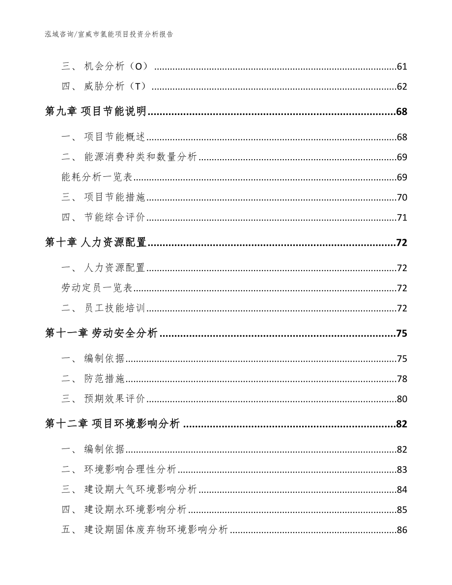 宣威市氢能项目投资分析报告参考范文_第3页