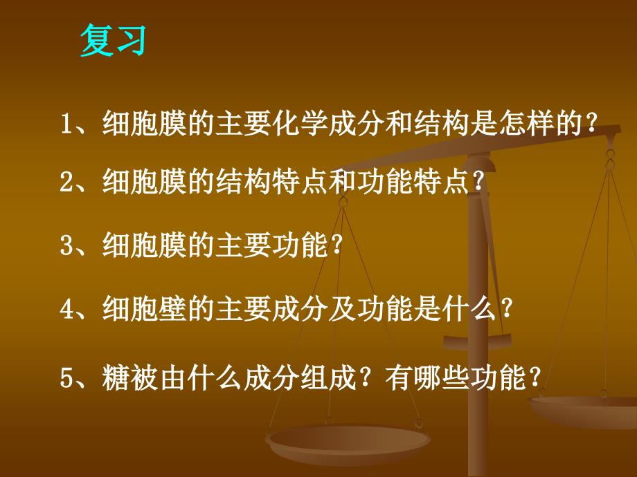 第一节 细胞的结构与功能二.细胞质的结构和功能_第2页