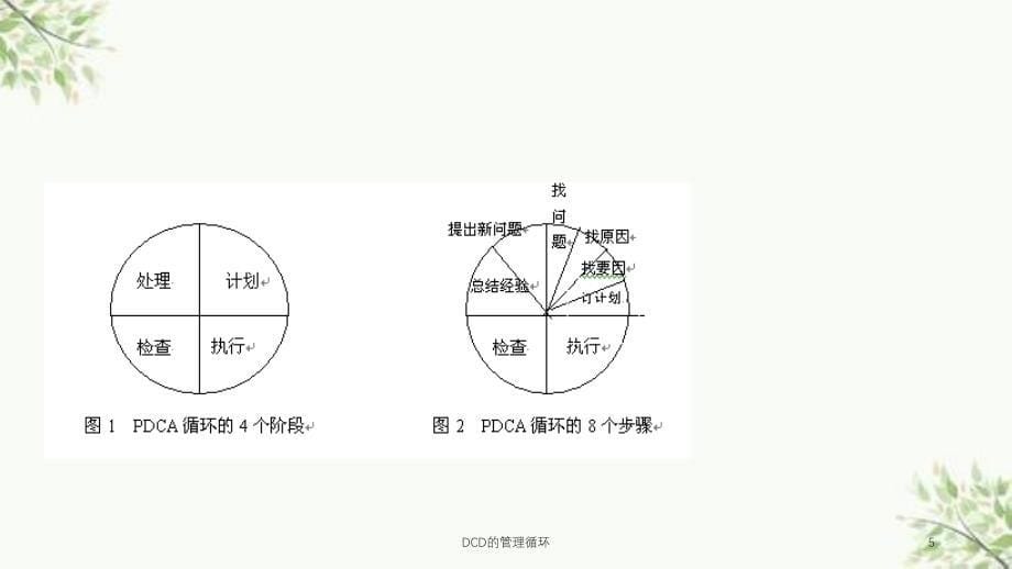 DCD的管理循环课件_第5页