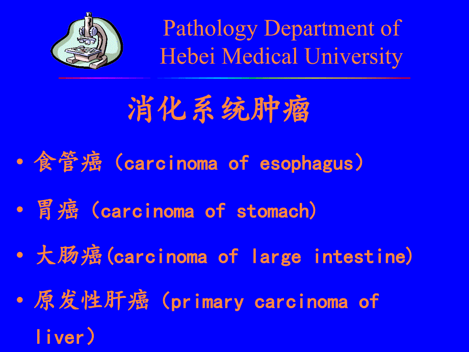 病理学教学课件：肿瘤各论2消化_第2页