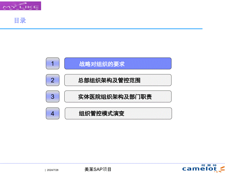 某集团管理咨询项目组织管控方案_第2页