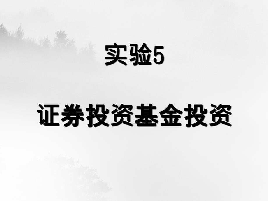 实验5证券投资基金投资_第2页